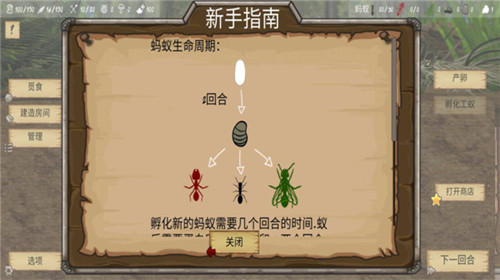 最后的蚂蚁原版
