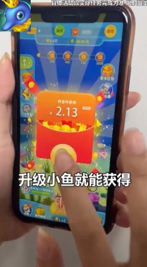 养鱼天天赚正版福利官方下载图片1