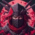 龙之忍者武士暗影游戏