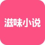 滋味小说