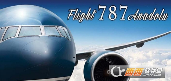模拟飞行787专业版