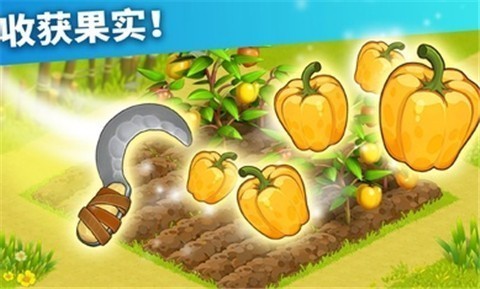 家庭岛冬奥会截图0