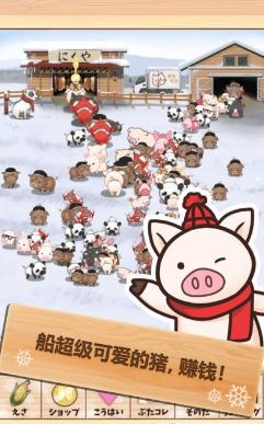 上市小猪红包版截图2