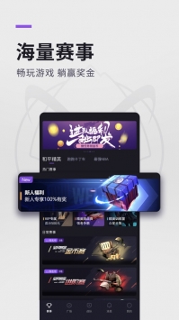 大圣电竞手机版截图0