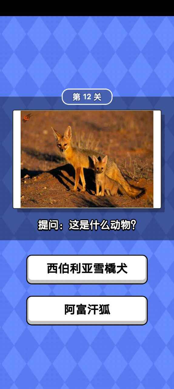 动物滑滑乐游戏领福利红包版图片1