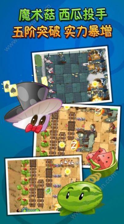 pvz平淡版下载官方版图片1