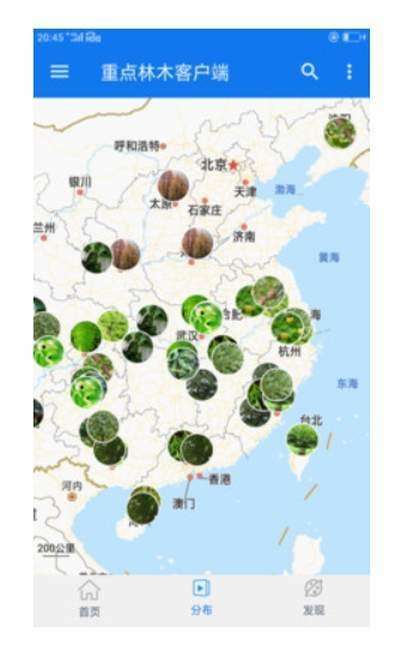 重点林木客户端截图1