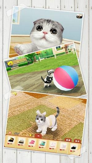 心动小猫截图1