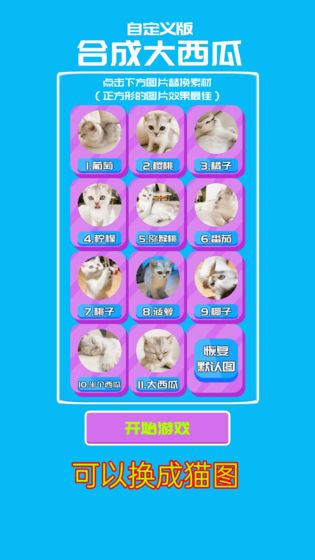 自定义合成大西瓜游戏官方版 截图3
