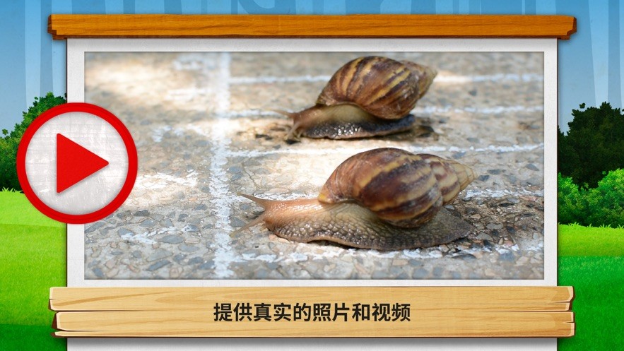 虫虫的世界2截图2