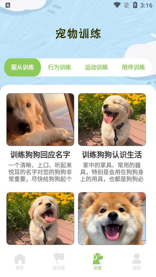 动物声音翻译器免费版