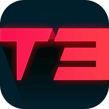 Project T3