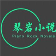 琴岩小说