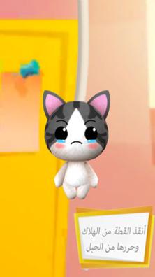 猫咪爱上口罩.jpg