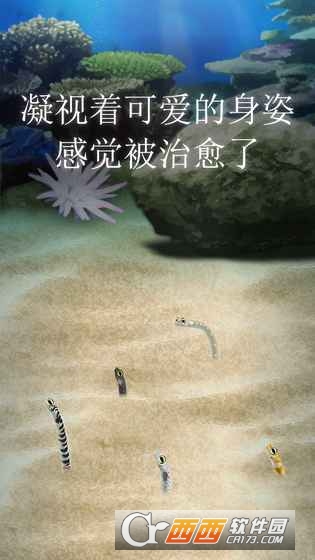 治愈的斑鳝花园Garden Eel 安卓版