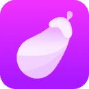 茄子视频app