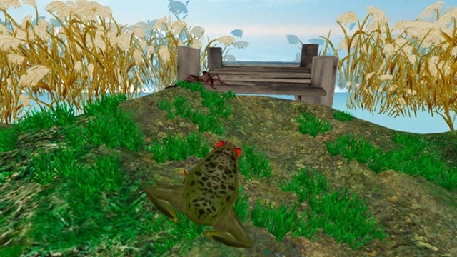 Frog Survival Simulator 3D(雨林青蛙生存模拟)截图1