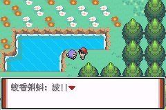 口袋妖怪赤特别篇截图3