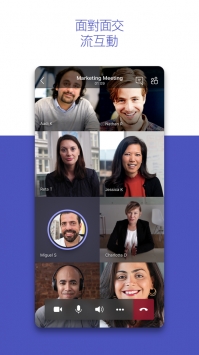 MicrosoftTeams v3.2.5