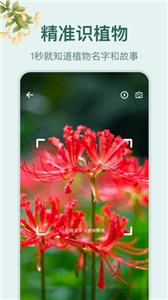 小园丁花草