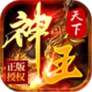 神王天下