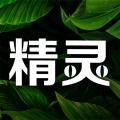 精灵之泉