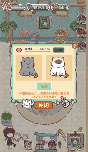 猫舍服装店游戏截图2