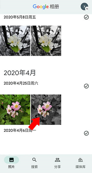 Google相册