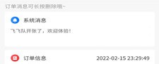 飞飞队