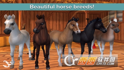星马的马厩 v2.53.1 安卓版