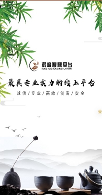 鸿峰厚鼎记账截图2