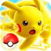 梦幻宠物联盟冠军