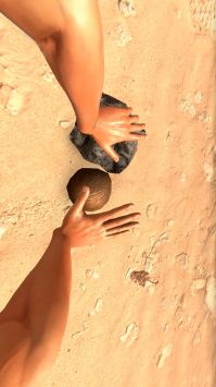 海岛战争求生 v3.1.5