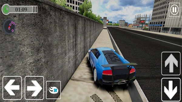 专业竞速车手  v1.00