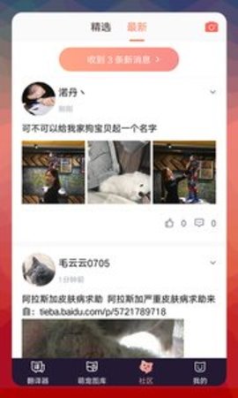 ea26a0a698c2dc8335cc45ab3b2c9363.jpg