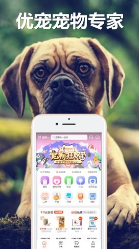 猫站截图2