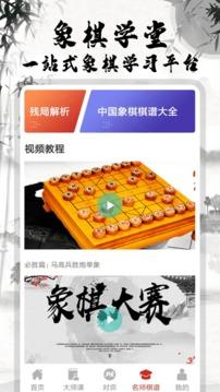 中国象棋大师截图0