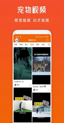 萌宠欢乐谷截图0