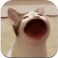 Pop cat meme游戏最新手机版 