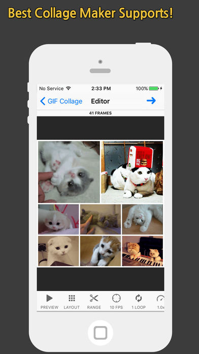 GIF Toaster安卓(GIF大师) 版本：v5.1
