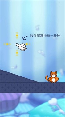 我的猫咪.jpg