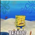 你去哪跟谁去回来还爱我吗表情包