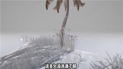 迷你人之旅 2024-06-25 15:08