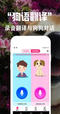 狗语翻译交流器.jpg