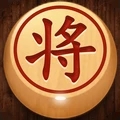 大师象棋完整版