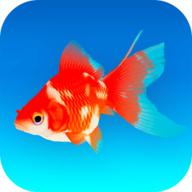 金鱼模拟器游戏