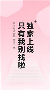 元气键盘皮肤