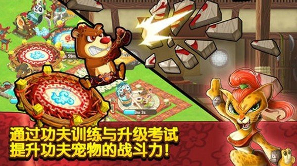 功夫宠物 版本：v1.3.7
