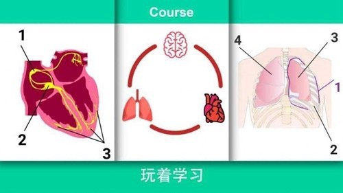 真实医疗模拟器(中文版)截图0
