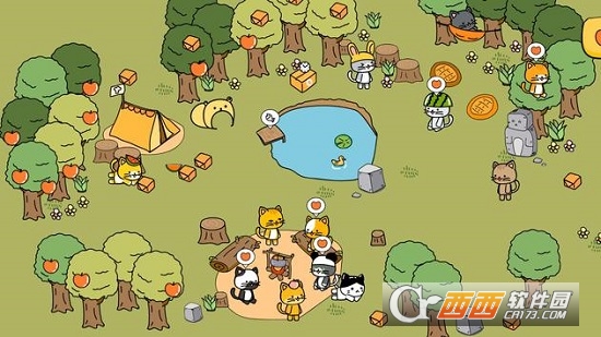 CatCamp(猫咪夏令营)
